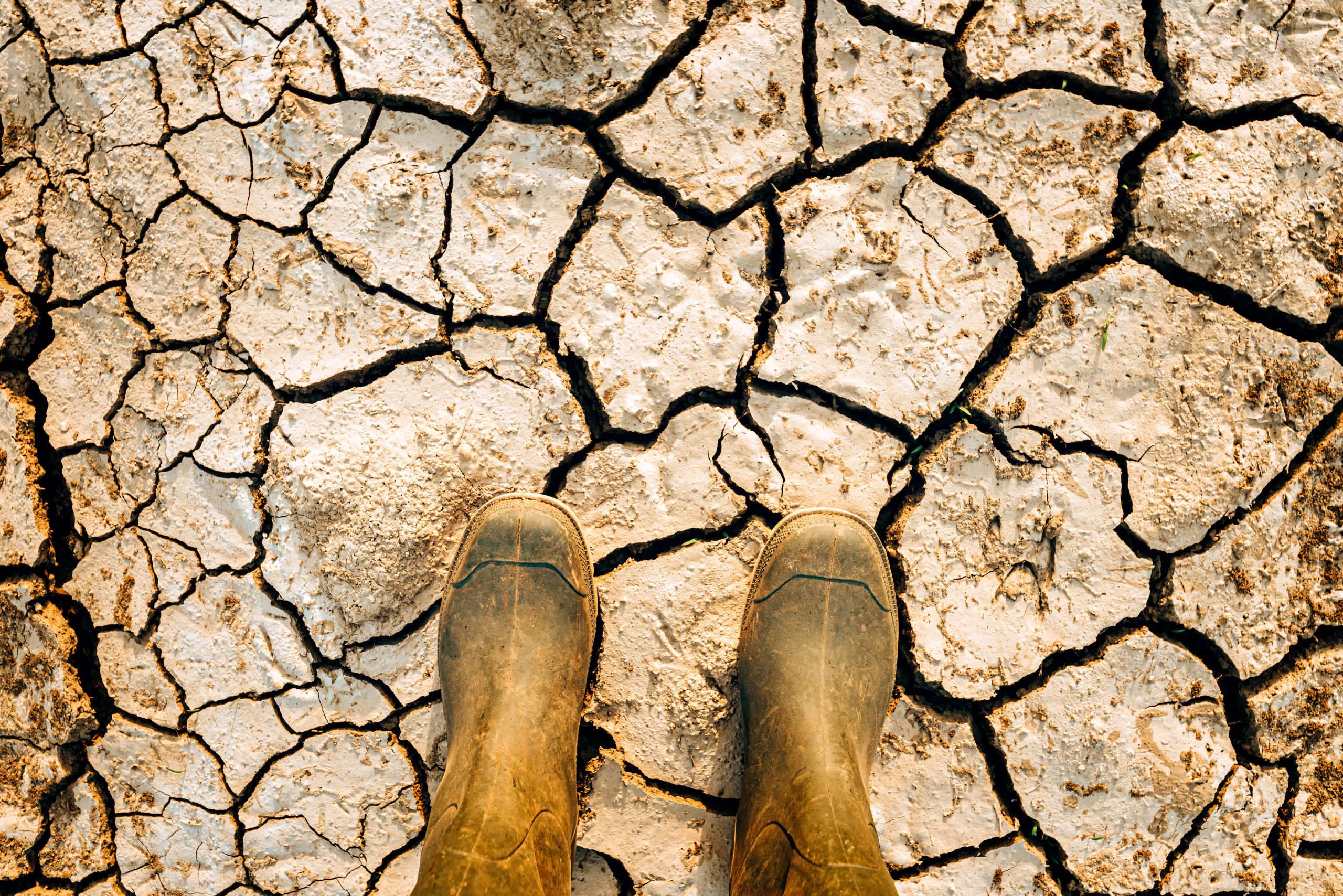 Global warming and climate change effects threat to mankind