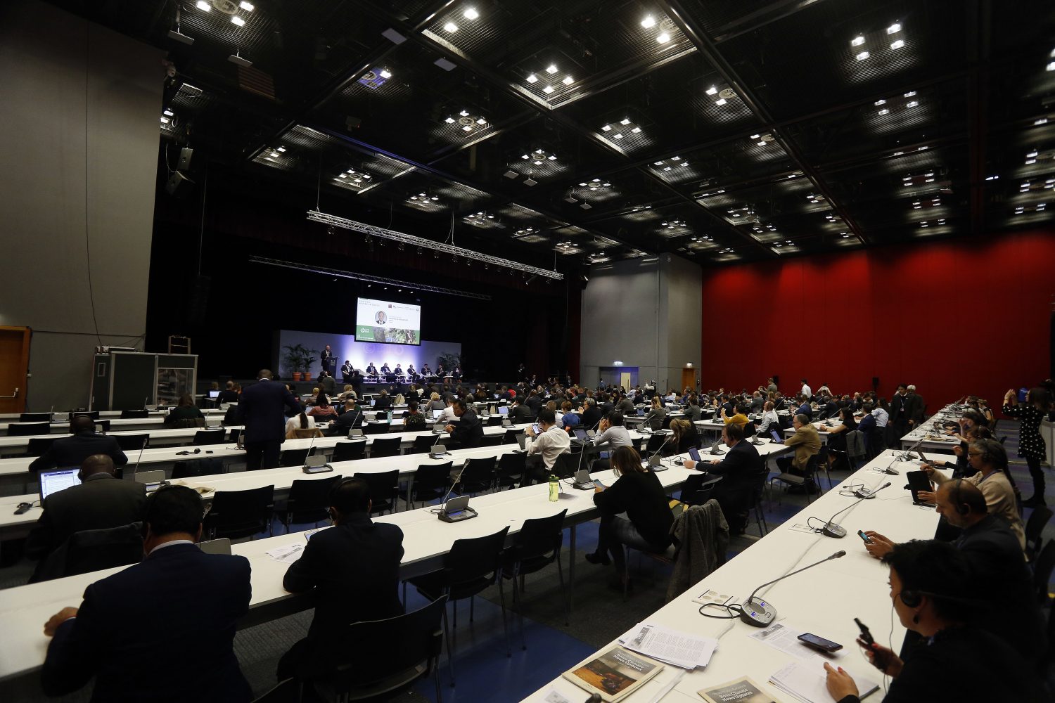 Chile lanza el “El llamado de acción para los Bosques” en el marco de la reunión de Alto Nivel de Bosques